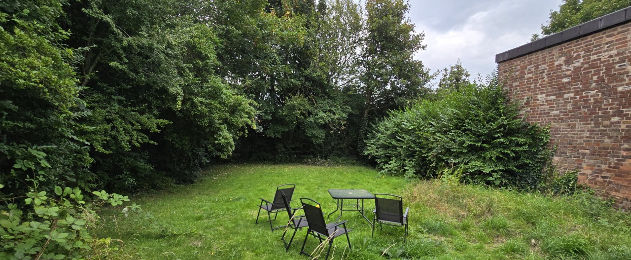 Before - overgrown garden with untidy landscaping